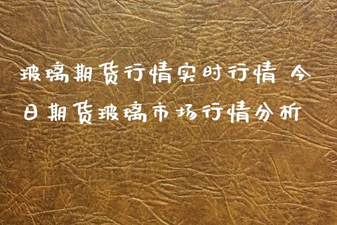 玻璃期货行情实时行情 今日期货玻璃市场行情_https://www.liuyiidc.com_黄金期货_第1张