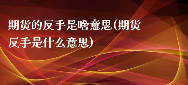 期货的反手是啥意思(期货反手是什么意思)_https://www.liuyiidc.com_期货直播_第1张