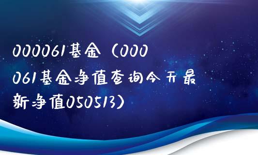 000061基金（000061基金净值查询今天最新净值050513）