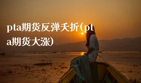 pta期货反弹夭折(pta期货大涨)_https://www.liuyiidc.com_理财百科_第1张