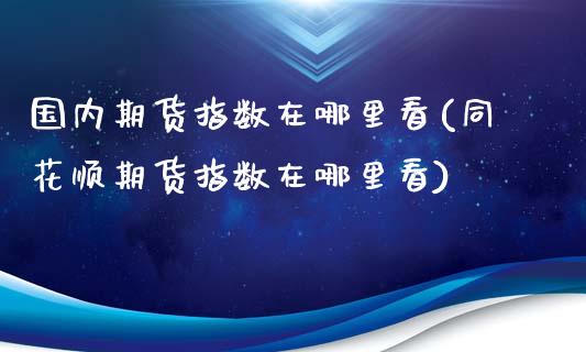 国内期货指数在哪里看(同花顺期货指数在哪里看)_https://www.liuyiidc.com_期货直播_第1张