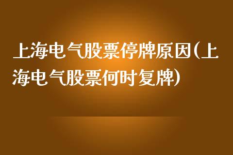 上海电气股票停牌原因(上海电气股票何时复牌)_https://www.liuyiidc.com_股票理财_第1张