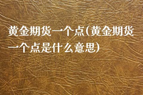 黄金期货一个点(黄金期货一个点是什么意思)_https://www.liuyiidc.com_期货软件_第1张