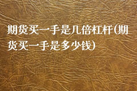 期货买一手是几倍杠杆(期货买一手是多少钱)_https://www.liuyiidc.com_期货知识_第1张