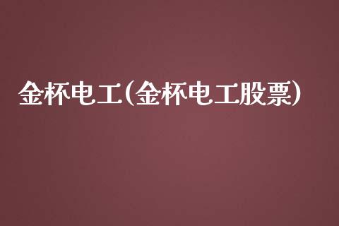 金杯电工(金杯电工股票)_https://www.liuyiidc.com_股票理财_第1张