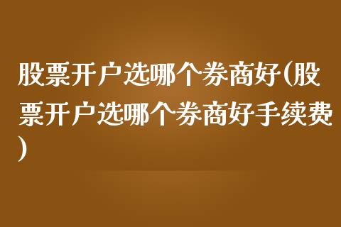 选哪个券商好(选哪个券商好手续费)_https://www.liuyiidc.com_股票理财_第1张