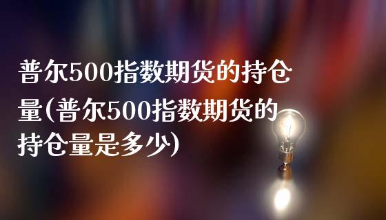 普尔500指数期货的持仓量(普尔500指数期货的持仓量是多少)_https://www.liuyiidc.com_基金理财_第1张