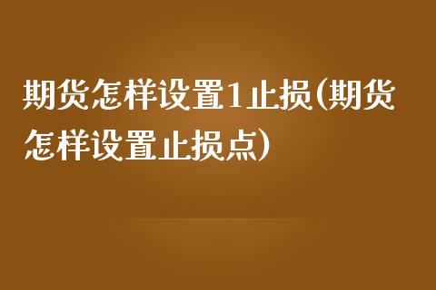 期货怎样设置1止损(期货怎样设置止损点)_https://www.liuyiidc.com_期货知识_第1张