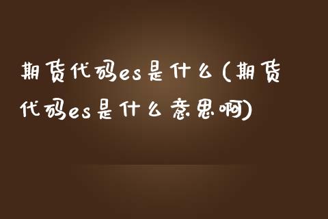 期货代码es是什么(期货代码es是什么意思啊)_https://www.liuyiidc.com_国际期货_第1张