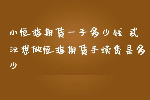 小恒指期货一手多少钱 武汉想做恒指期货手续费是多少