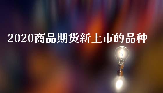 2020商品期货新上市的品种_https://www.liuyiidc.com_基金理财_第1张