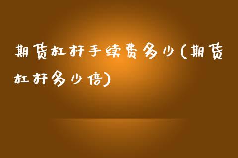 期货杠杆手续费多少(期货杠杆多少倍)_https://www.liuyiidc.com_理财品种_第1张