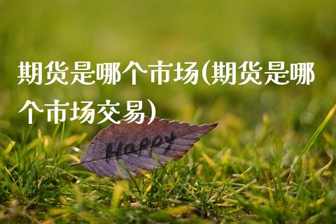 期货是哪个市场(期货是哪个市场交易)_https://www.liuyiidc.com_期货交易所_第1张