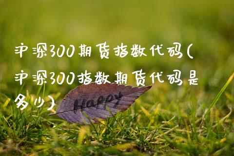 沪深300期货指数代码(沪深300指数期货代码是多少)