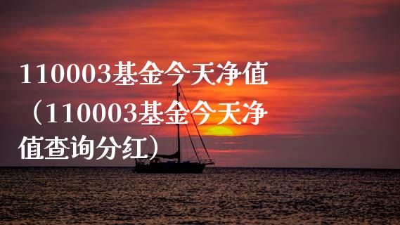 110003基金今天净值（110003基金今天净值查询分红）_https://www.liuyiidc.com_基金理财_第1张