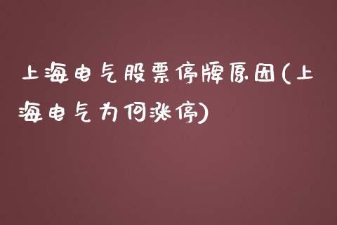 上海电气股票停牌原因(上海电气为何涨停)_https://www.liuyiidc.com_期货直播_第1张