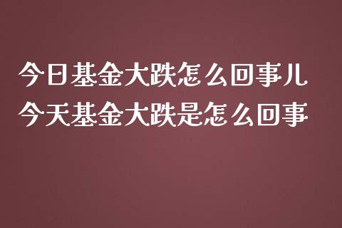 今日基金大跌怎么回事儿 今天基金大跌是怎么回事