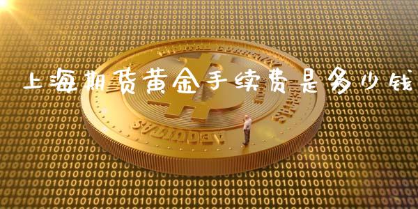 上海期货黄金手续费是多少钱_https://www.liuyiidc.com_基金理财_第1张