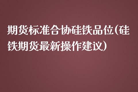 期货标准合协硅铁品位(硅铁期货最新操作建议)_https://www.liuyiidc.com_期货品种_第1张