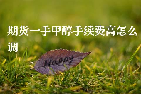 期货一手甲醇手续费高怎么调_https://www.liuyiidc.com_财经要闻_第1张