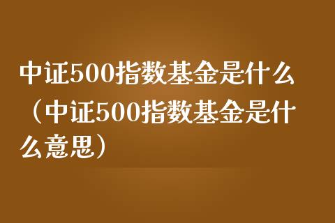 中证500指数基金是什么（中证500指数基金是什么意思）_https://www.liuyiidc.com_原油直播室_第1张