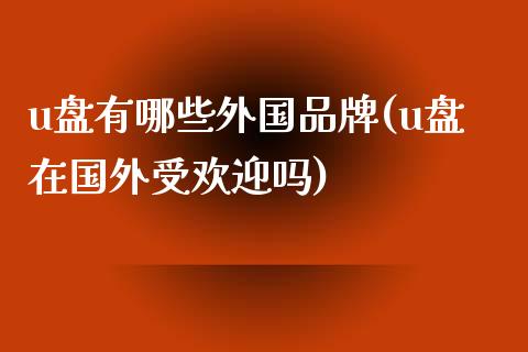 u盘有哪些外国品牌(u盘在国外受欢迎吗)_https://www.liuyiidc.com_期货知识_第1张