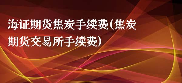 海证期货焦炭手续费(焦炭期货交易所手续费)_https://www.liuyiidc.com_恒生指数_第1张