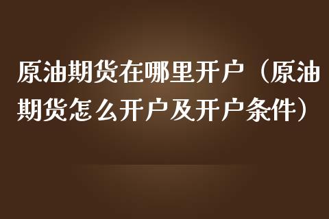 原油期货在哪里（原油期货怎么及条件）_https://www.liuyiidc.com_期货理财_第1张