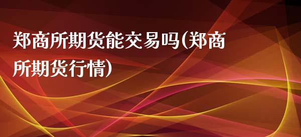 郑商所期货能交易吗(郑商所期货行情)_https://www.liuyiidc.com_期货理财_第1张