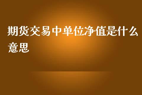 期货交易中单位净值是什么意思_https://www.liuyiidc.com_期货品种_第1张