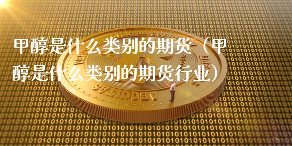 甲醇是什么类别的期货（甲醇是什么类别的期货行业）_https://www.liuyiidc.com_期货理财_第1张