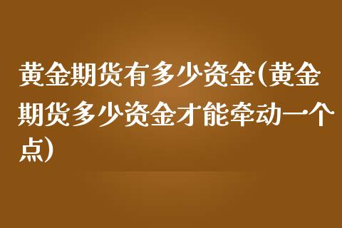 黄金期货有多少资金(黄金期货多少资金才能牵动一个点)_https://www.liuyiidc.com_期货品种_第1张