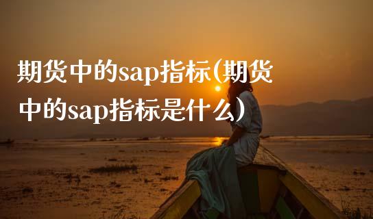 期货中的sap指标(期货中的sap指标是什么)_https://www.liuyiidc.com_期货直播_第1张