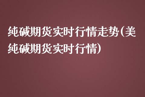 纯碱期货实时行情走势(美纯碱期货实时行情)_https://www.liuyiidc.com_期货品种_第1张