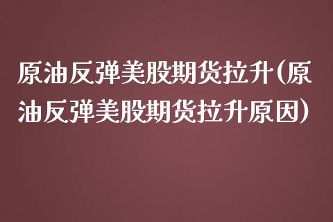 原油反弹美股期货拉升(原油反弹美股期货拉升原因)_https://www.liuyiidc.com_期货交易所_第1张