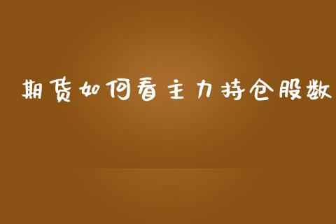 期货如何看主力持仓股数_https://www.liuyiidc.com_恒生指数_第1张