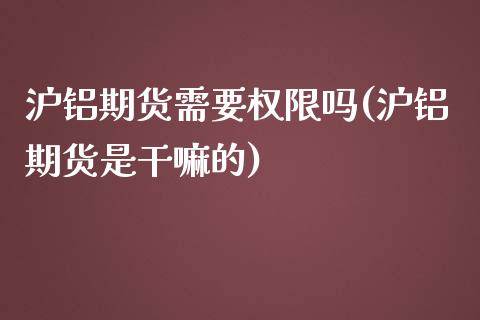 沪铝期货需要权限吗(沪铝期货是)_https://www.liuyiidc.com_恒生指数_第1张