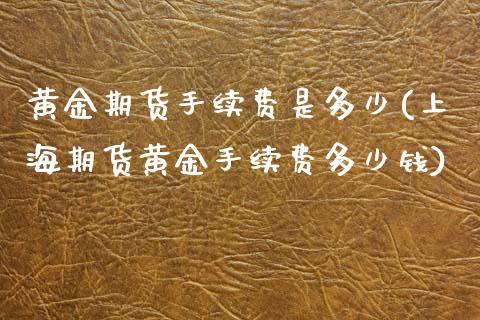 黄金期货手续费是多少(上海期货黄金手续费多少钱)_https://www.liuyiidc.com_恒生指数_第1张