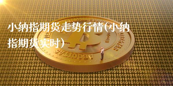 小纳指期货走势行情(小纳指期货实时)_https://www.liuyiidc.com_道指直播_第1张