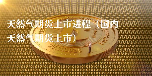 天然气期货上市进程（国内天然气期货上市）_https://www.liuyiidc.com_恒生指数_第1张