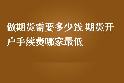 做期货需要多少钱 期货手续费哪家最低_https://www.liuyiidc.com_期货理财_第1张