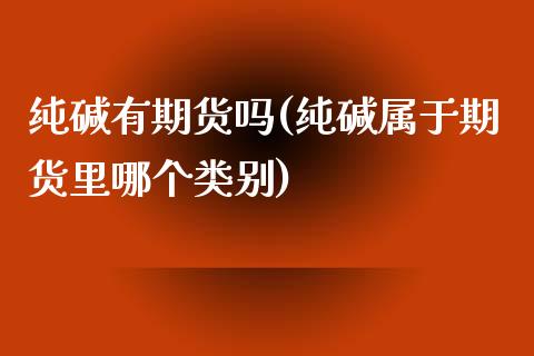 纯碱有期货吗(纯碱属于期货里哪个类别)_https://www.liuyiidc.com_期货品种_第1张