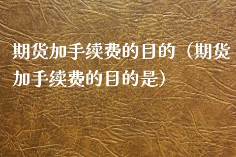 期货加手续费的目的（期货加手续费的目的是）_https://www.liuyiidc.com_原油直播室_第1张