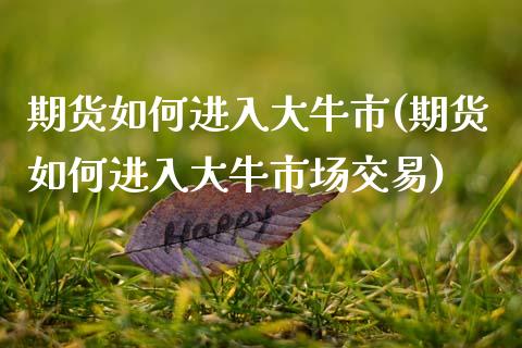 期货如何进入大牛市(期货如何进入大牛市场交易)_https://www.liuyiidc.com_理财百科_第1张