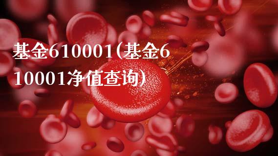 基金610001(基金610001净值查询)_https://www.liuyiidc.com_股票理财_第1张