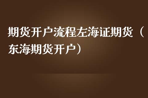 期货流程左海证期货（东海期货）_https://www.liuyiidc.com_期货理财_第1张