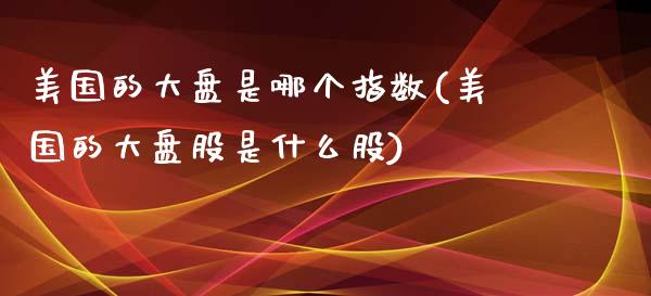 美国的大盘是哪个指数(美国的大盘股是什么股)_https://www.liuyiidc.com_期货知识_第1张