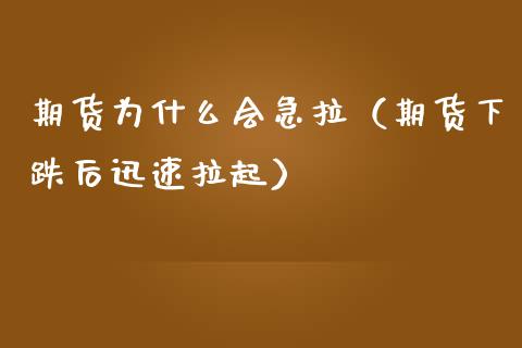 期货为什么会急拉（期货下跌后迅速拉起）_https://www.liuyiidc.com_原油直播室_第1张