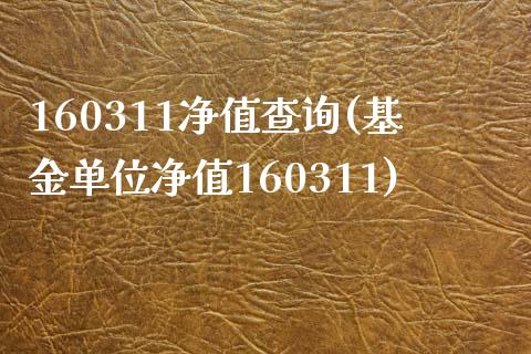 160311净值查询(基金单位净值160311)_https://www.liuyiidc.com_理财百科_第1张