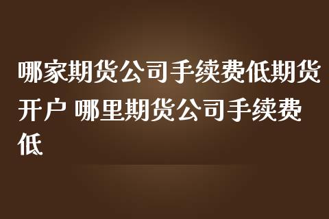 哪家期货手续费低期货 哪里期货手续费低_https://www.liuyiidc.com_理财百科_第1张